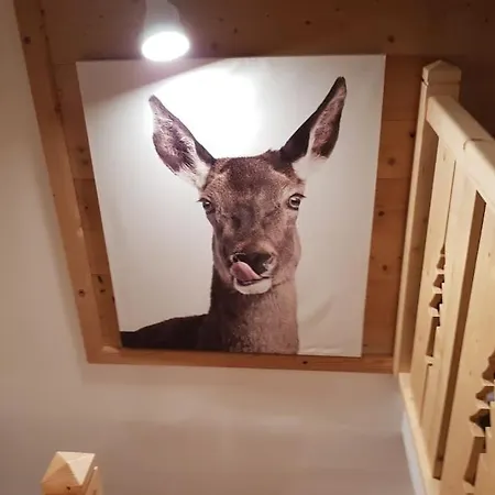 Duplex Dans Chalet, Vue De Rêve, 6 Pers, 2 Nuits Minimum Appartement *