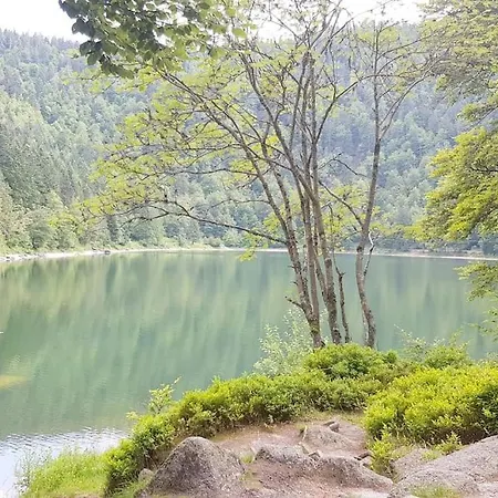 Duplex Dans Chalet, Vue De Rêve, 6 Pers, 2 Nuits Minimum * La Bresse