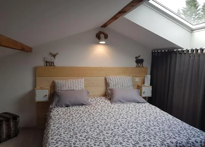 Duplex Dans Chalet, Vue De Rêve, 6 Pers, 2 Nuits Minimum Appartement