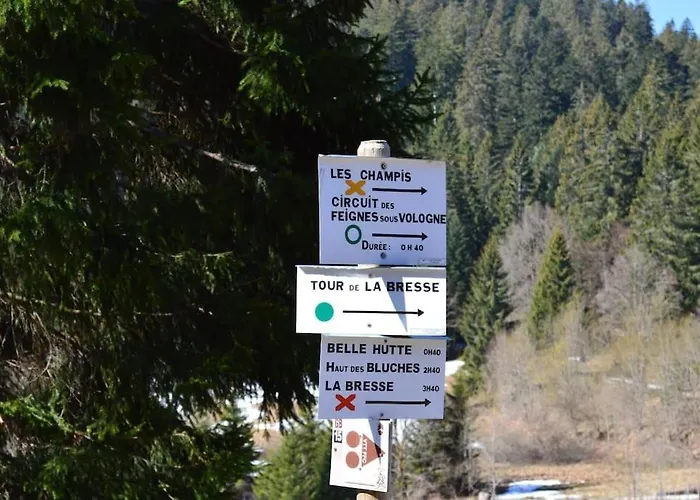 Duplex Dans Chalet, Vue De Rêve, 6 Pers, 2 Nuits Minimum * La Bresse