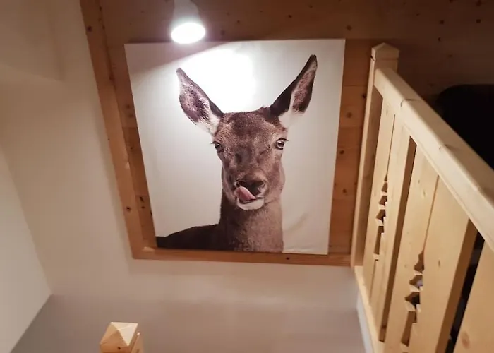 Duplex Dans Chalet, Vue De Rêve, 6 Pers, 2 Nuits Minimum Appartement *