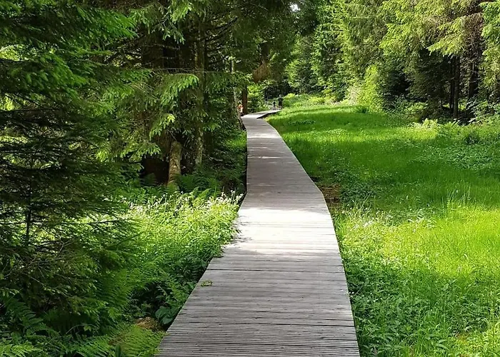 Appartement Duplex Dans Chalet, Vue De Rêve, 6 Pers, 2 Nuits Minimum *