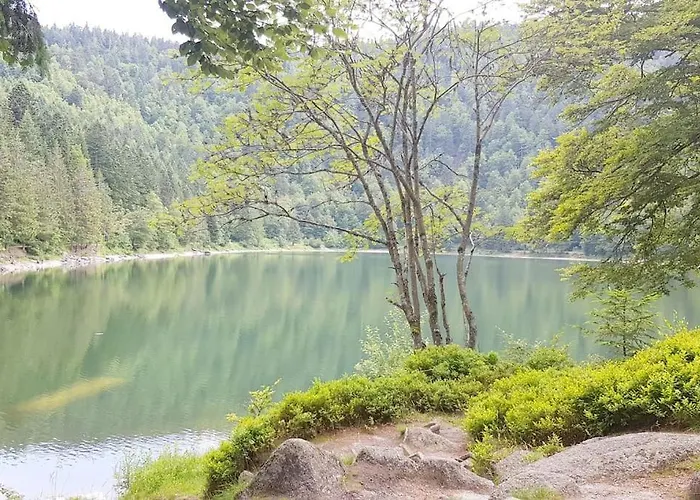 Duplex Dans Chalet, Vue De Reve, 6 Pers, 2 Nuits Minimum * La Bresse